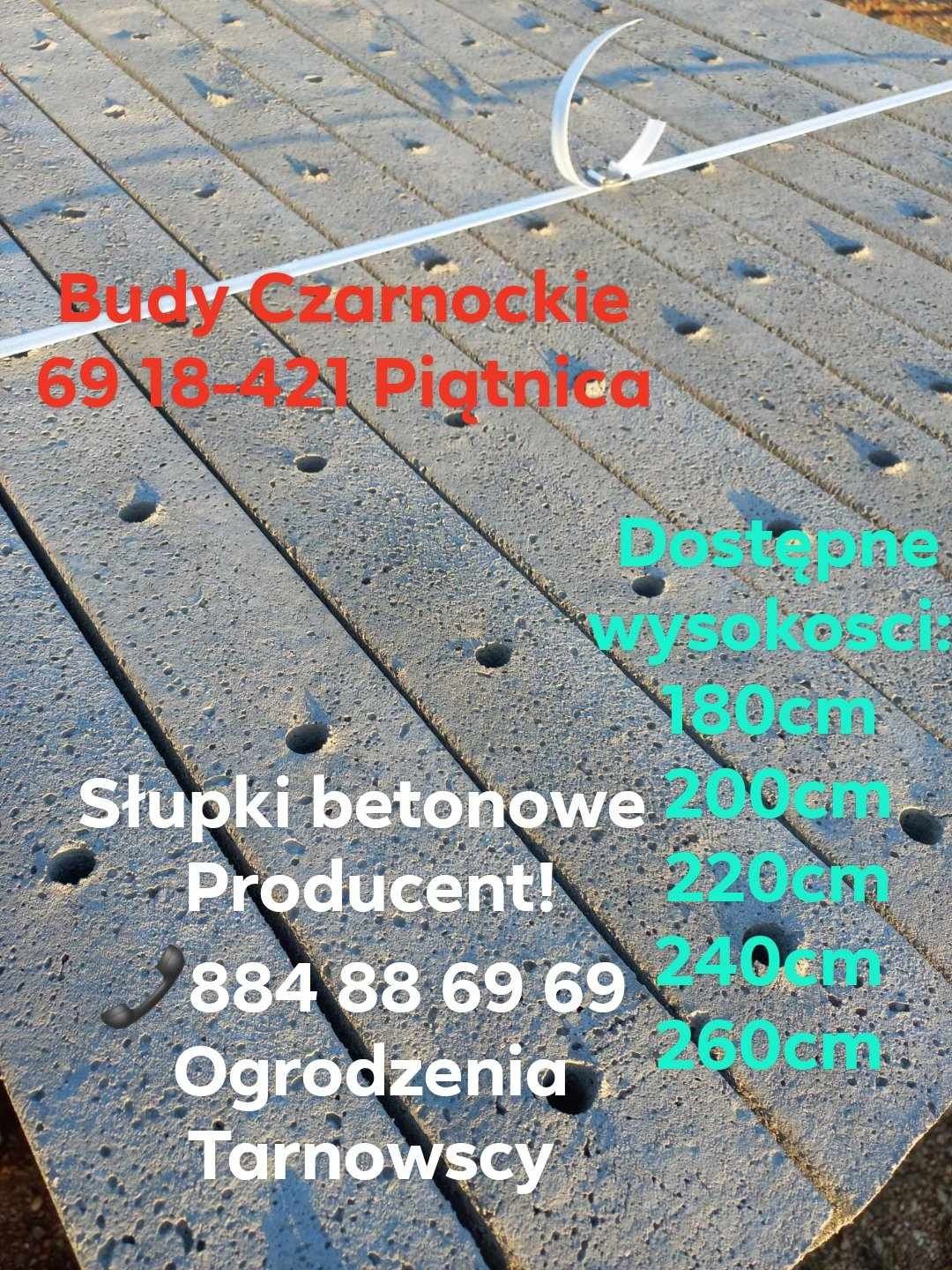 Słupki betonowe słupek betonowy  siatki leśnej Producent