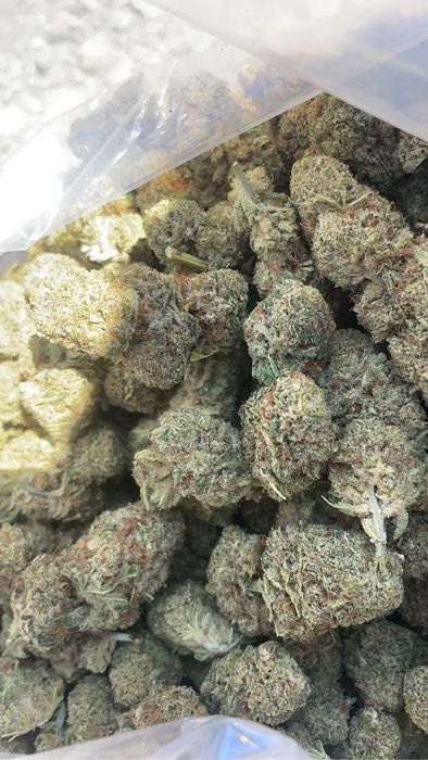 20G Susz konopny CBD ORANGE BUD 35% Producent Szwajcaria