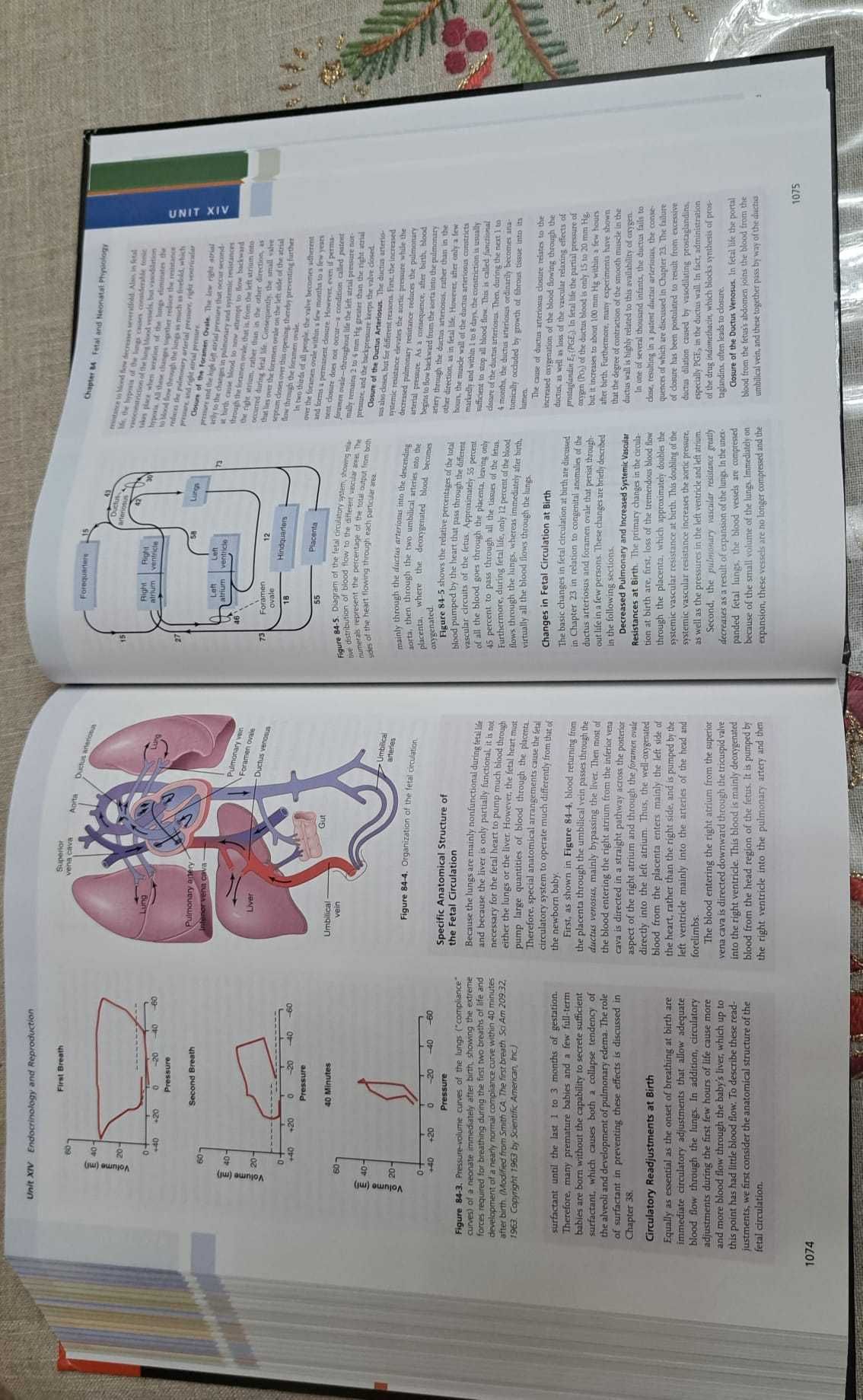 Guyton and Hall - NOVO (Medical Physiology - Textbook)