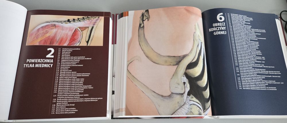 Atlas anatomii palpacyjnej - oba tomy