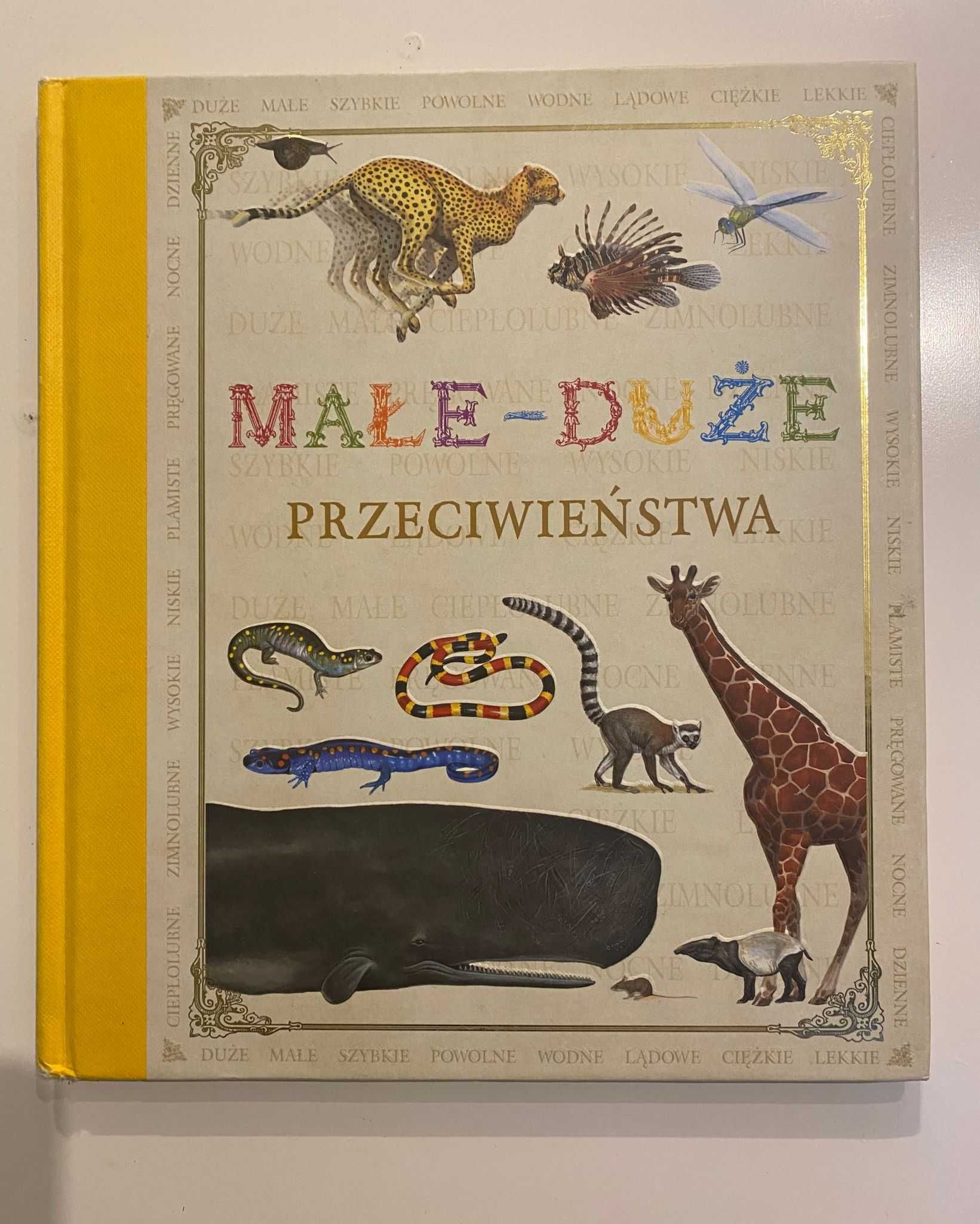 Małe - Duże przeciwieństwa wyd. Zielona Sowa