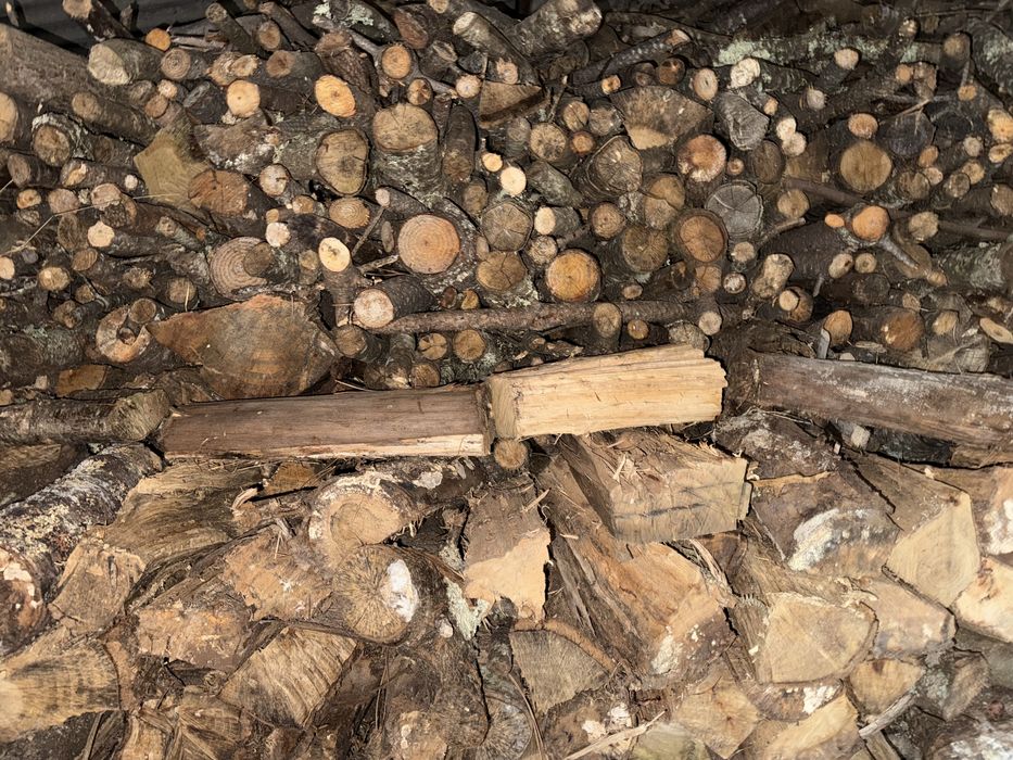 Lenha seca de pinheiro e eucalipto