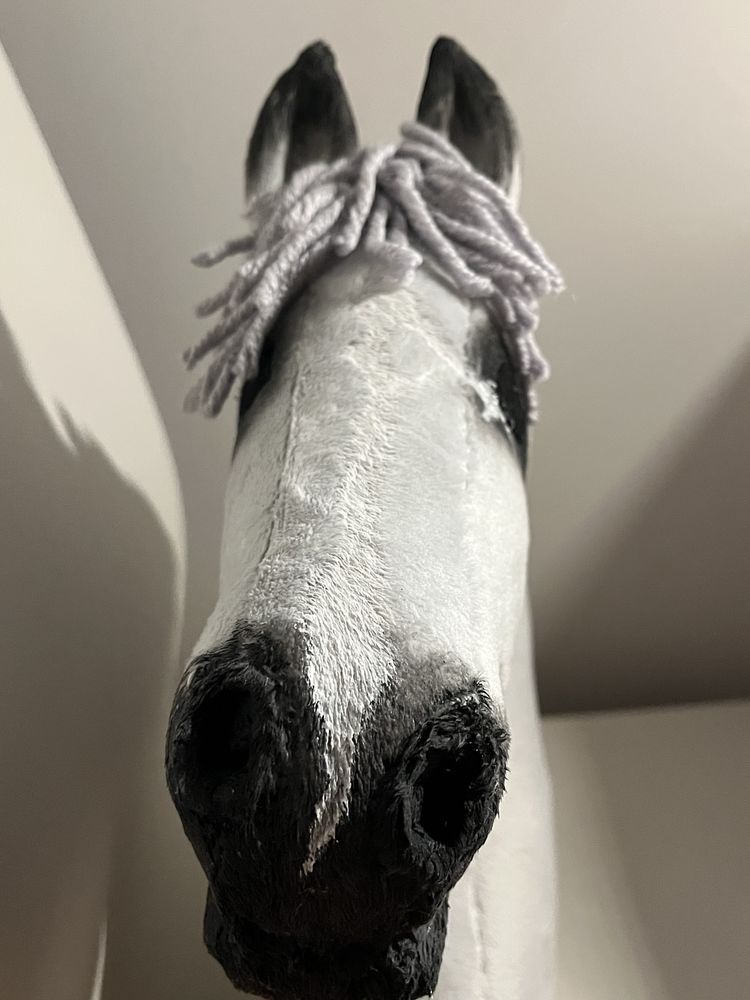 Hobby horse.
