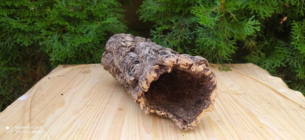 Grota do terrarium-23 cm