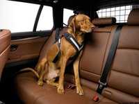 Allsafe Safety Harness szelki do samochodu dla psa L nowe bez opakowa.