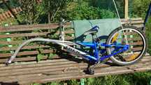 Przyczepka rowerowa Trek dla dziecka, koło 20''