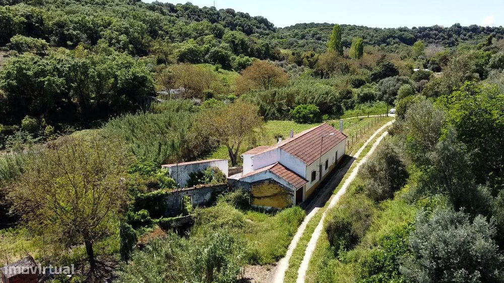 Bela Casa de Campo em Santarém