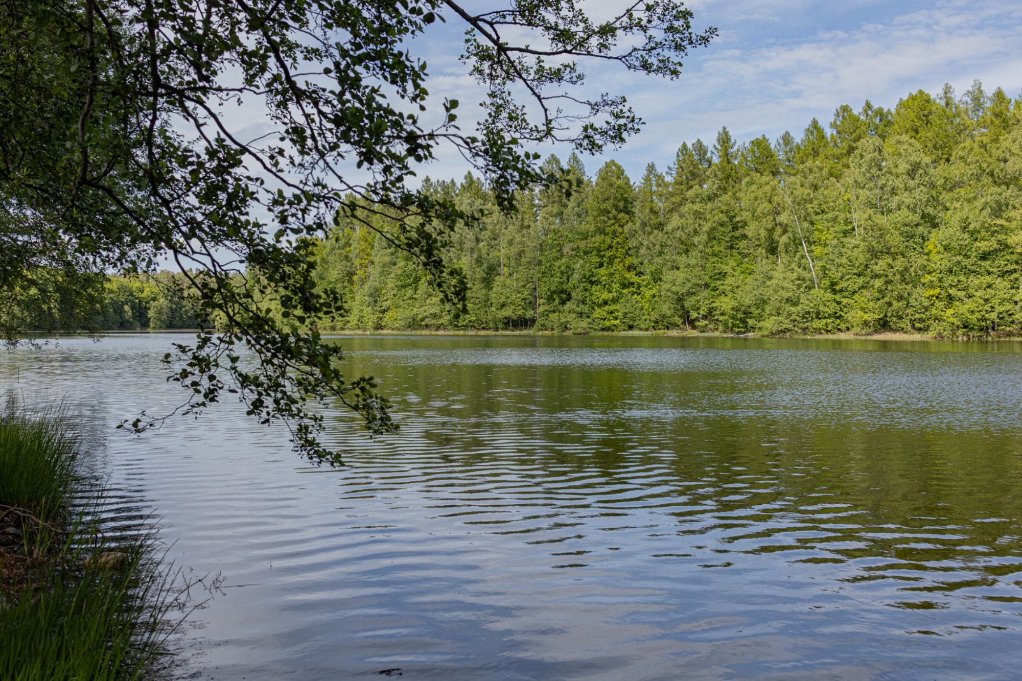 Ostoja Rekownica Kaszuby – dla 10 osób sauna, balia.