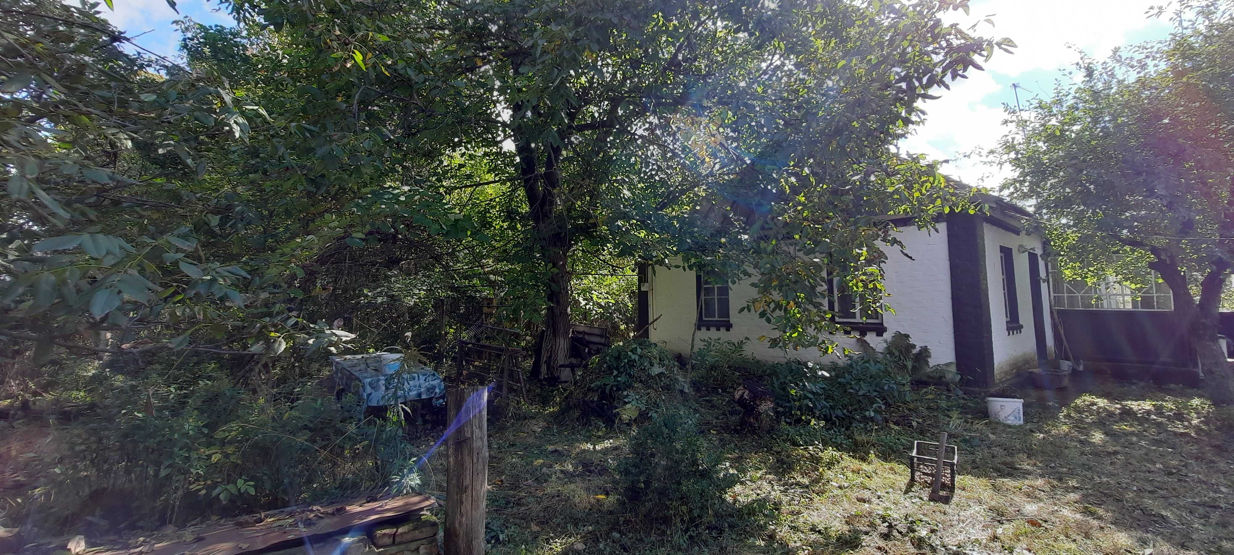 Терміновий продаж будинка в с. Липки