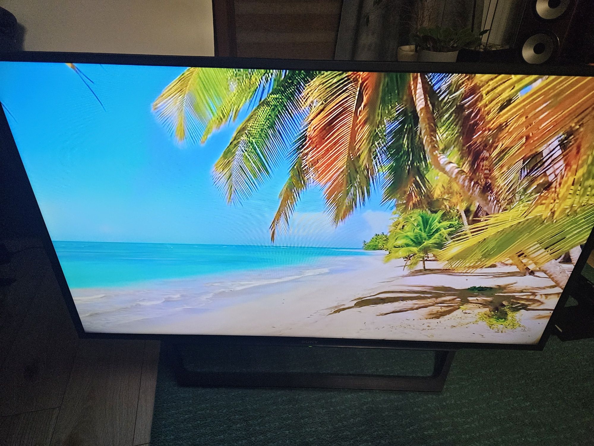 Telewizor Samsung 55 telewizor wifi YouTube Netflix gwarancja