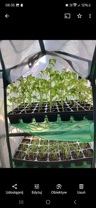 Mini szklarnia 2 poziomowa regał na kwiaty