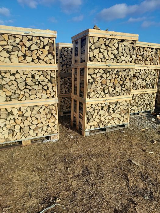 Дрова твердих порід