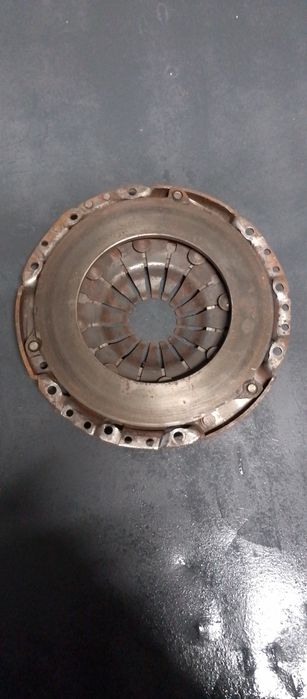 Продам щеплення віваро 1.9