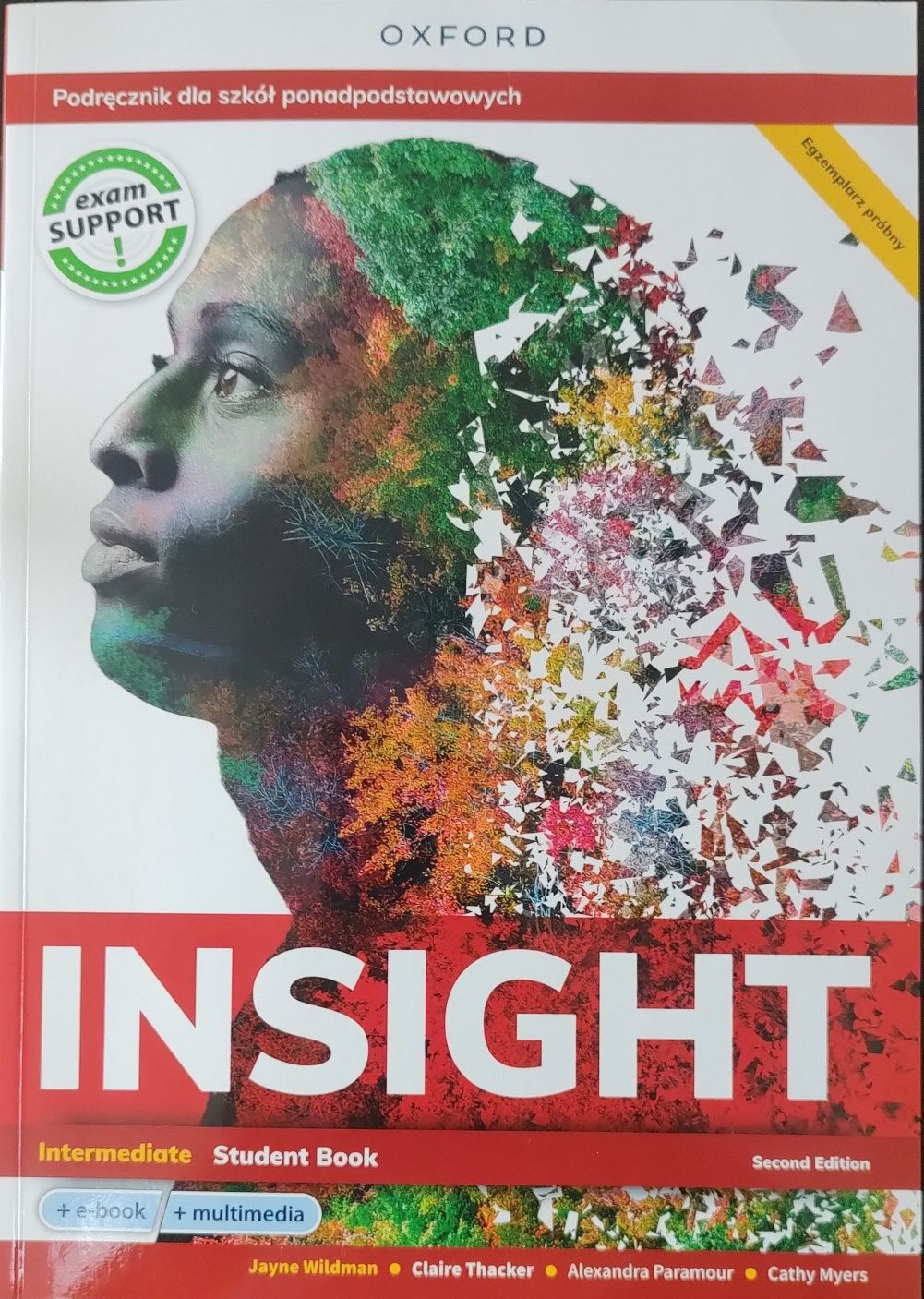 Insight intermediate second edition