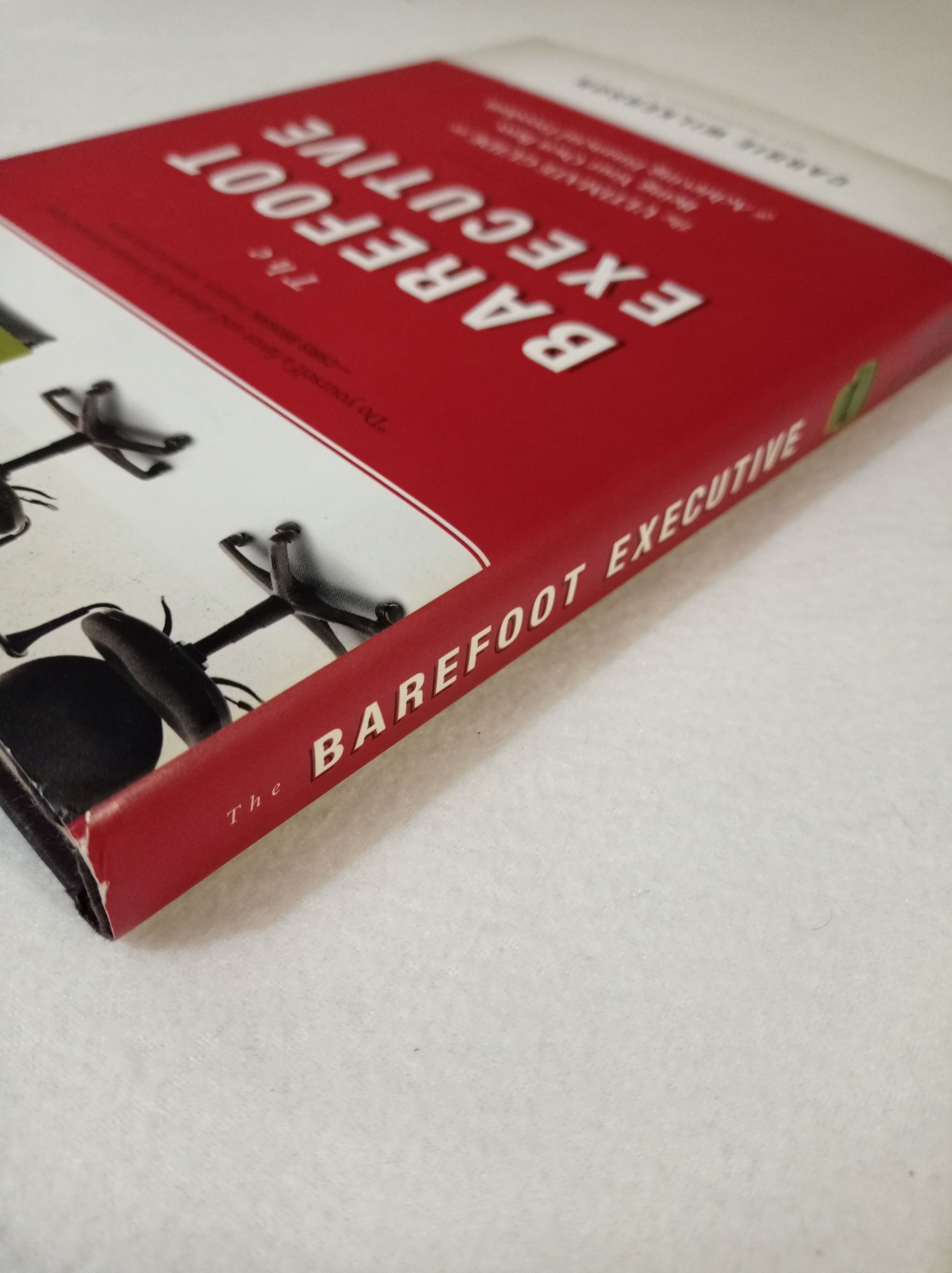 The barefoot executive - Carrie Wilkerson
