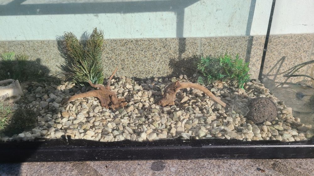 Aquario completo 120L