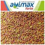Perle PREMIUM nutri-logic Fruits 1kg avimax