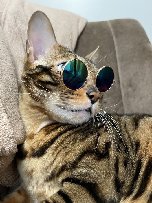 Поводок рулетка повідець-рулетка