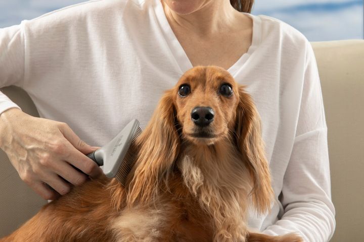 Furminator Szeroki Grzebień Do Gęstej Sierści