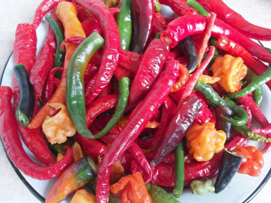 Аджика Грузинская из острых перцев с уцхо-сунели 2025 иная консервация