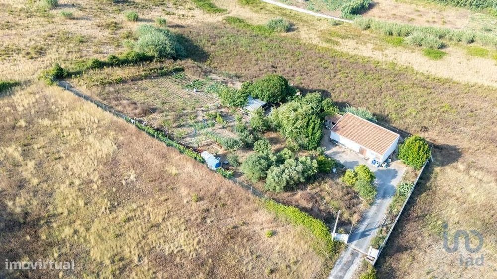 Armazém T1 em Lourinhã e Atalaia de 317,00 m2