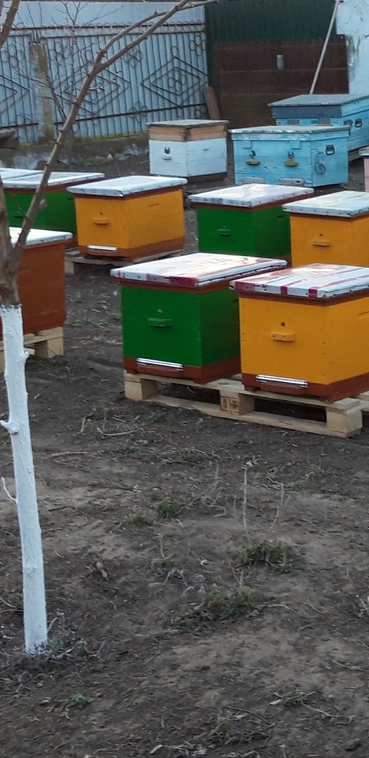 Продам мёд разнотравье
