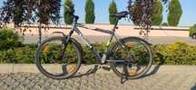 Wheeler 900 - Rower MTB (górski) 19 cali
