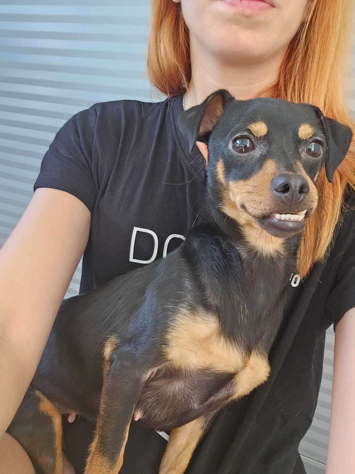 Mãe e bebés para adoção