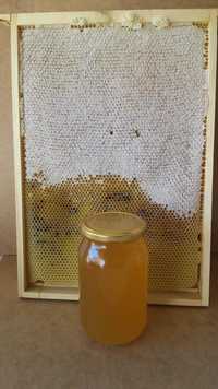 Sprzedam naturalny  miód pszczeli