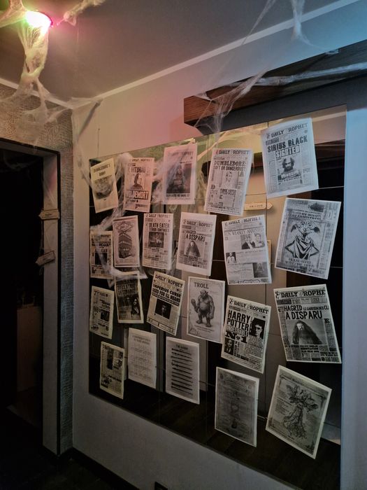 Ozdoby dekoracje urodzinowe Harry Potter