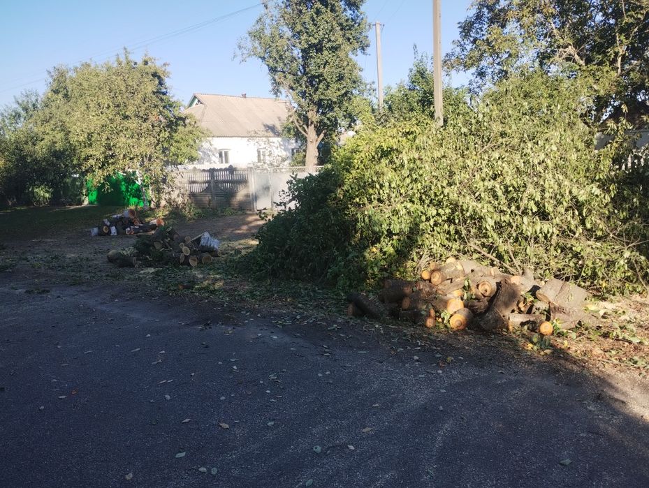 Демонтаж будівель тереторії під ключ різка любих дерев