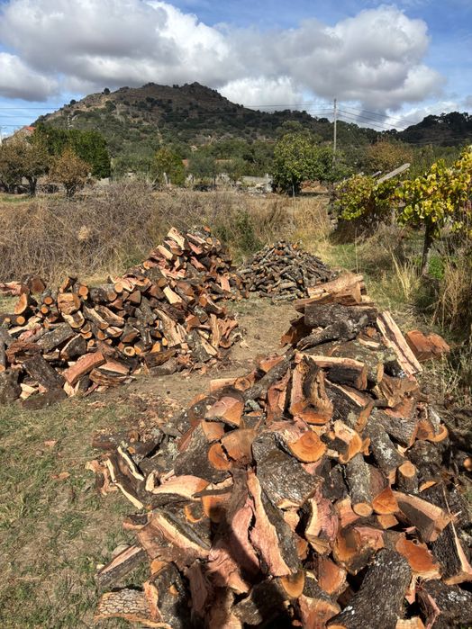 Comércio de lenhas e carvão