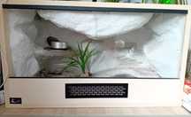 Terrarium dla żółwia