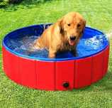 Piscina para cao