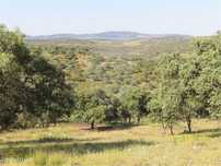 Quinta  para venda