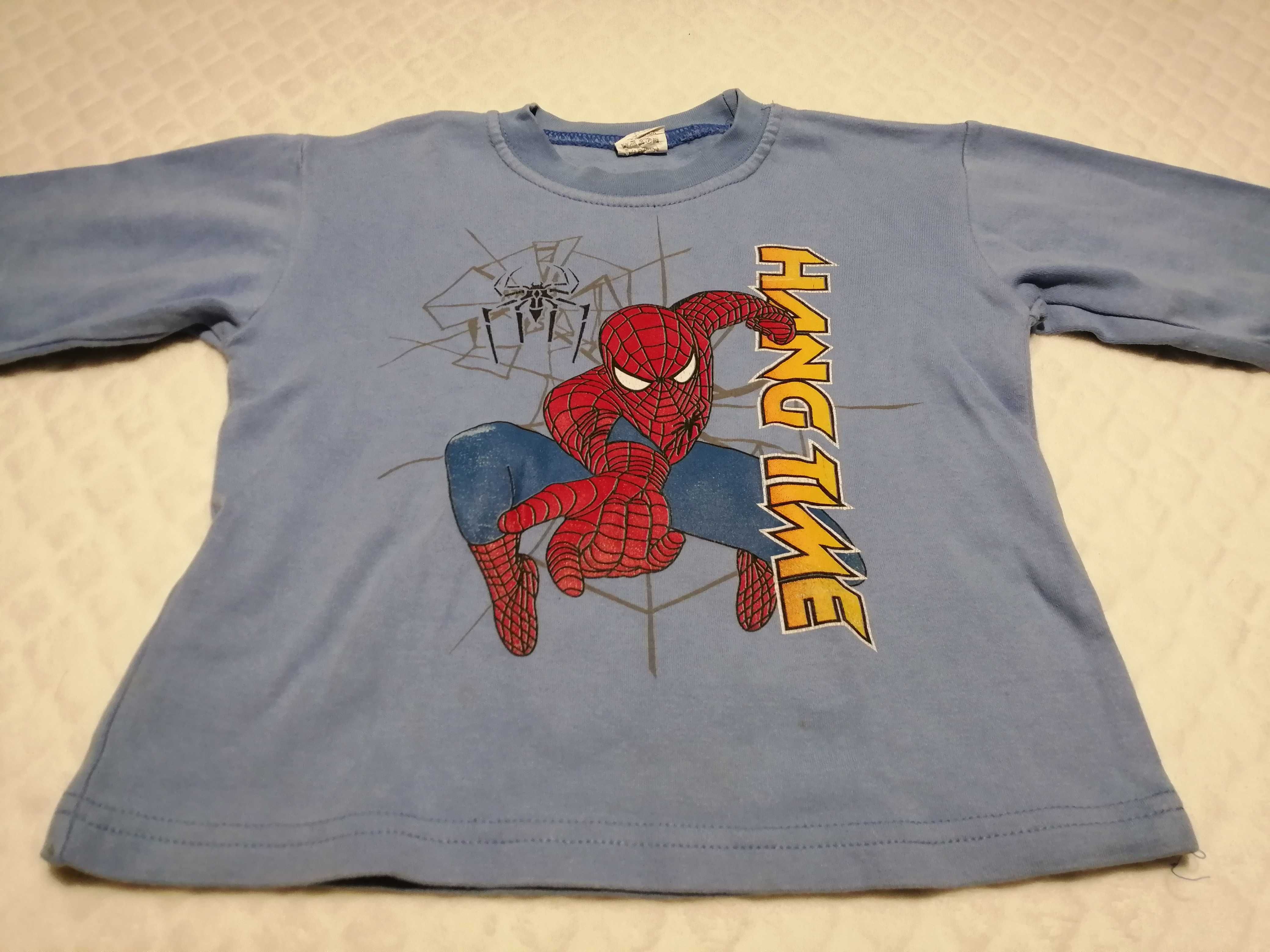 Bluza chłopięca, długi rękaw, Milano, 116, Spider-Man (Odzież)