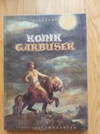 Książka Konik garbusek