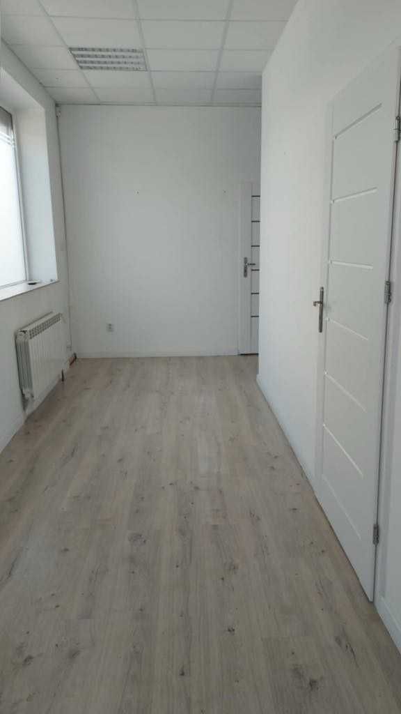 LOKAL do Wynajęcia
