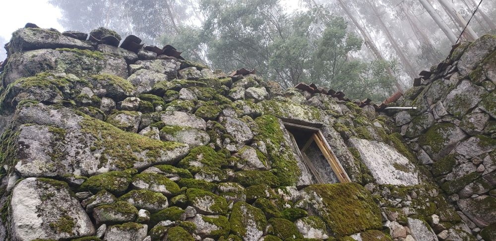 Vende-se terreno com Ruína