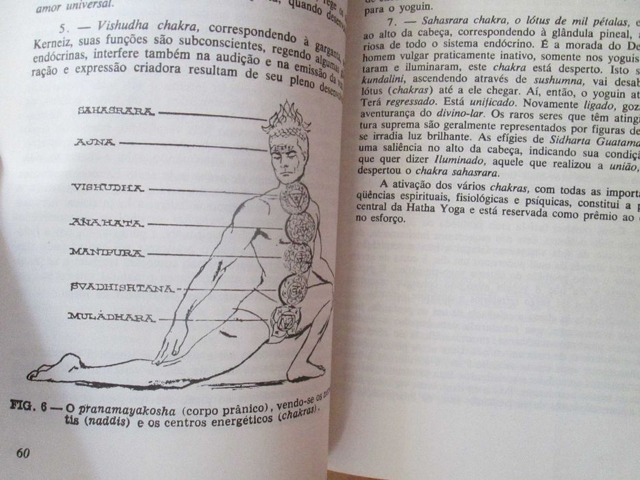 Autoperfeição com Hatha Yoga, de Hermógenes