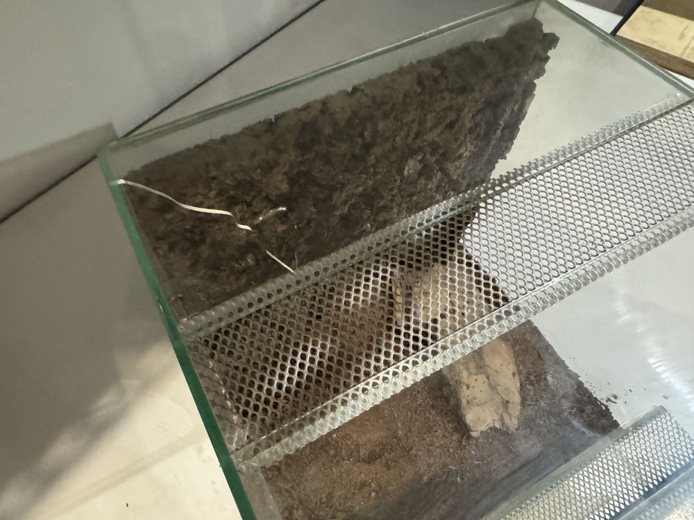 Terrarium 25x25x25