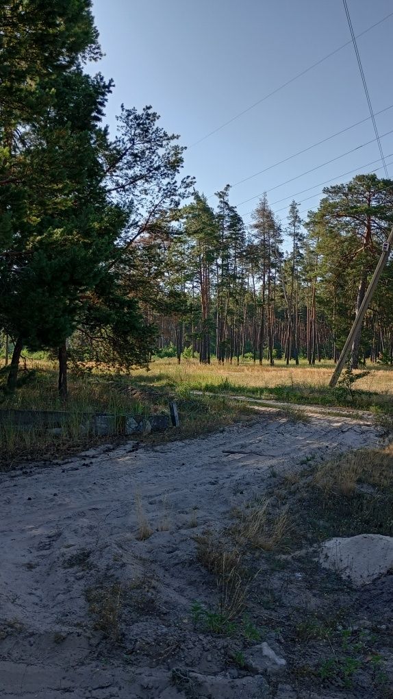 Ділянки в лісі в 30 км.від Києва