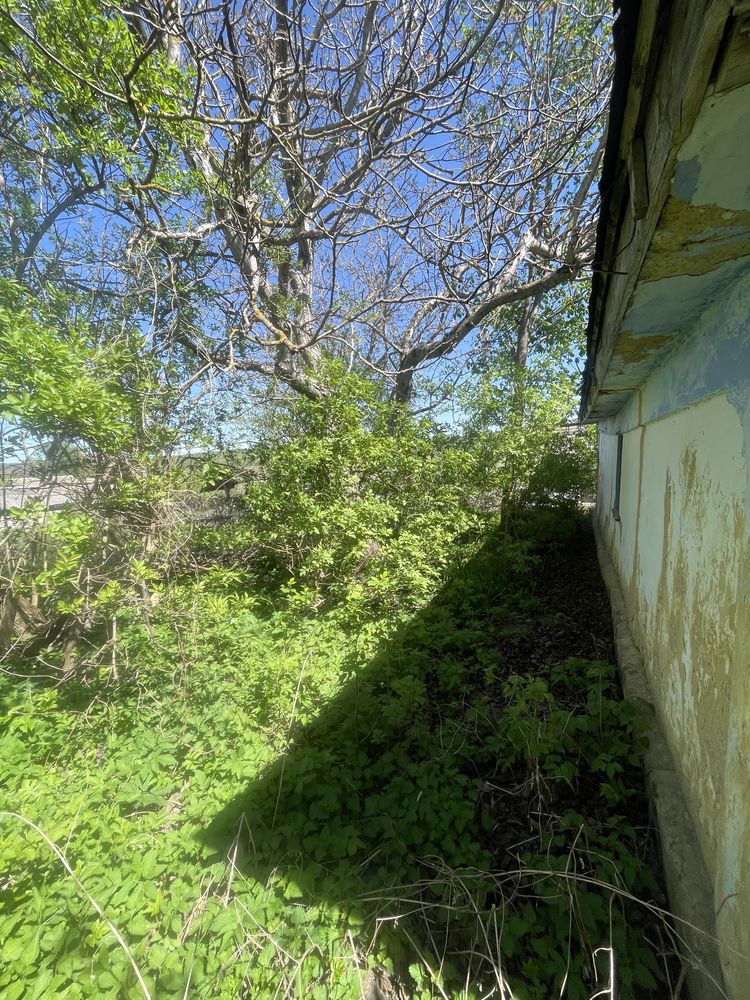 Продам будинок з територією від власника
