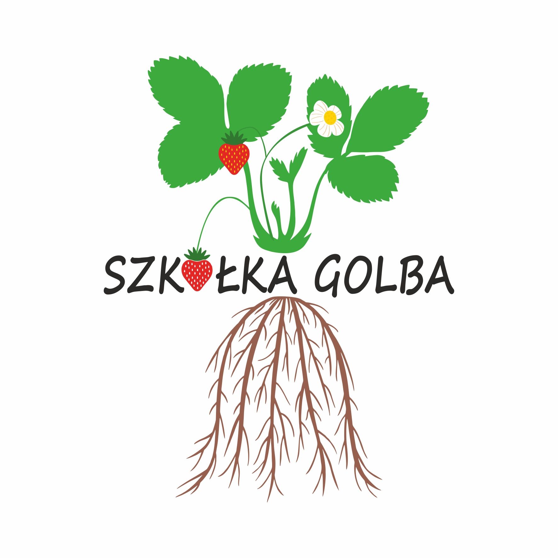 SZKÓŁKA sadzonek truskawek,( dotacje rachunek ) wysyłka od 100 s
