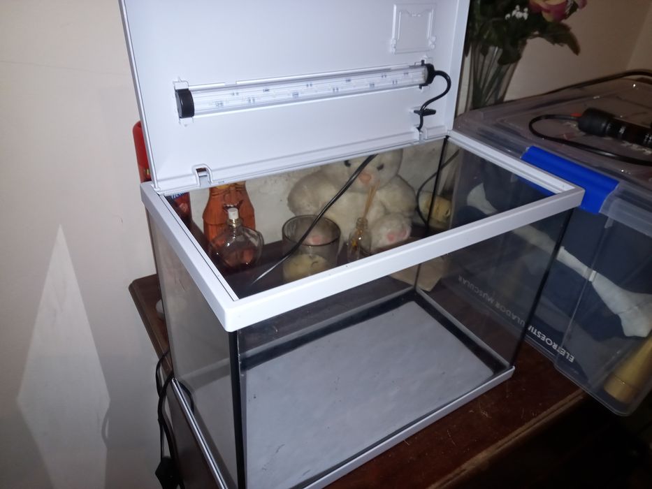 Aquario novo com luz led
