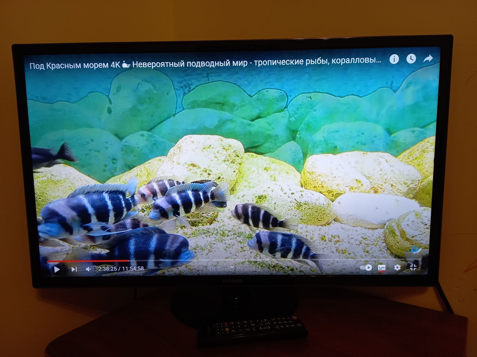 Телевізор 32" Samsung