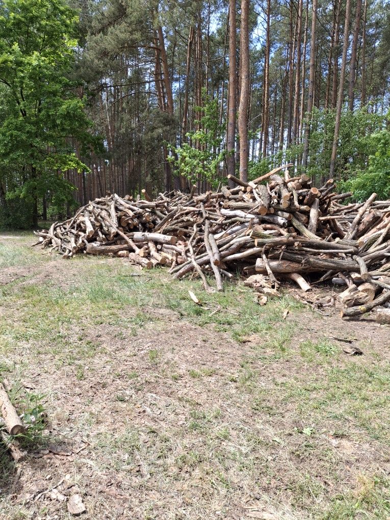 Drewno opałowe gałęziówka