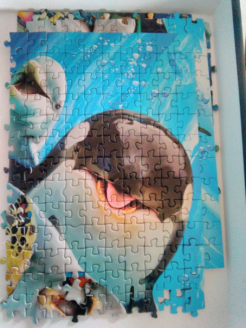 Puzzle 500 peças - animais marinhos