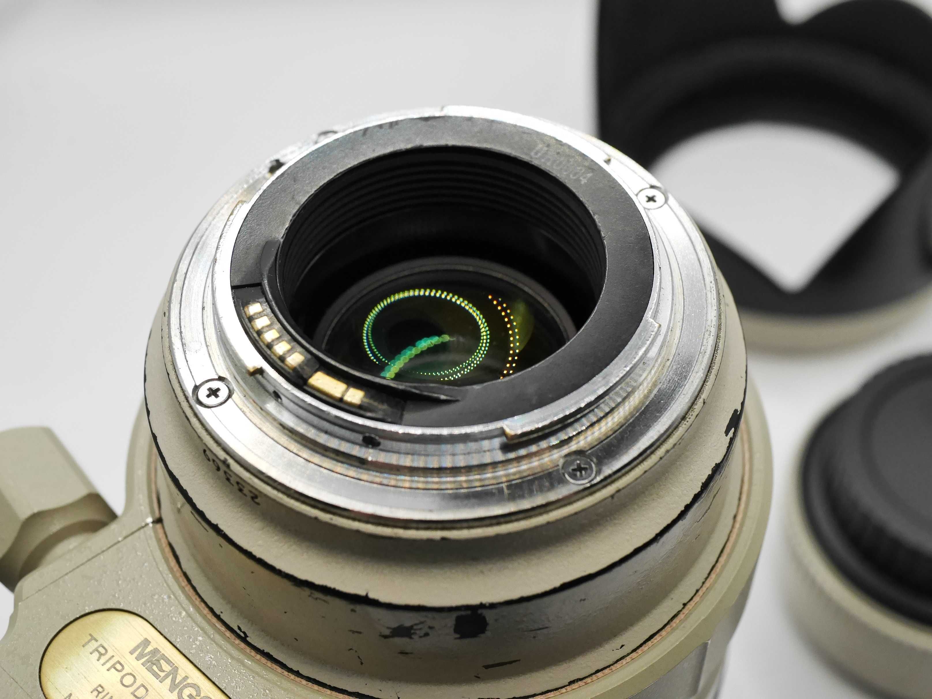 Canon EF 35-350mm f/3.5-5.6 L USM Ultrasonic EF-S
