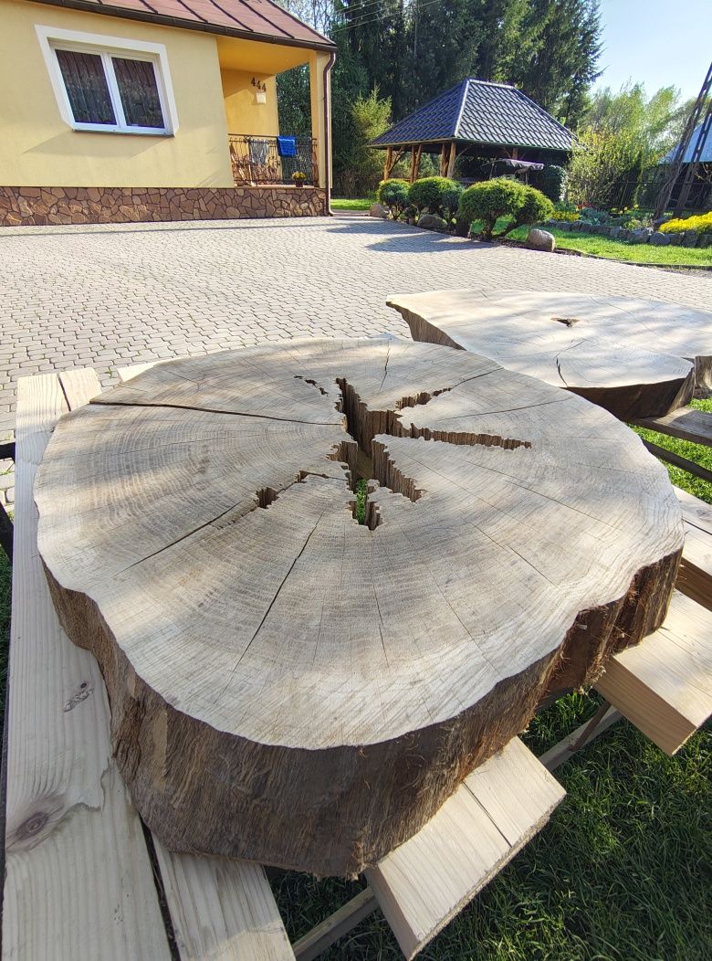 Plaster krążki drewna dąb modrzew jodła